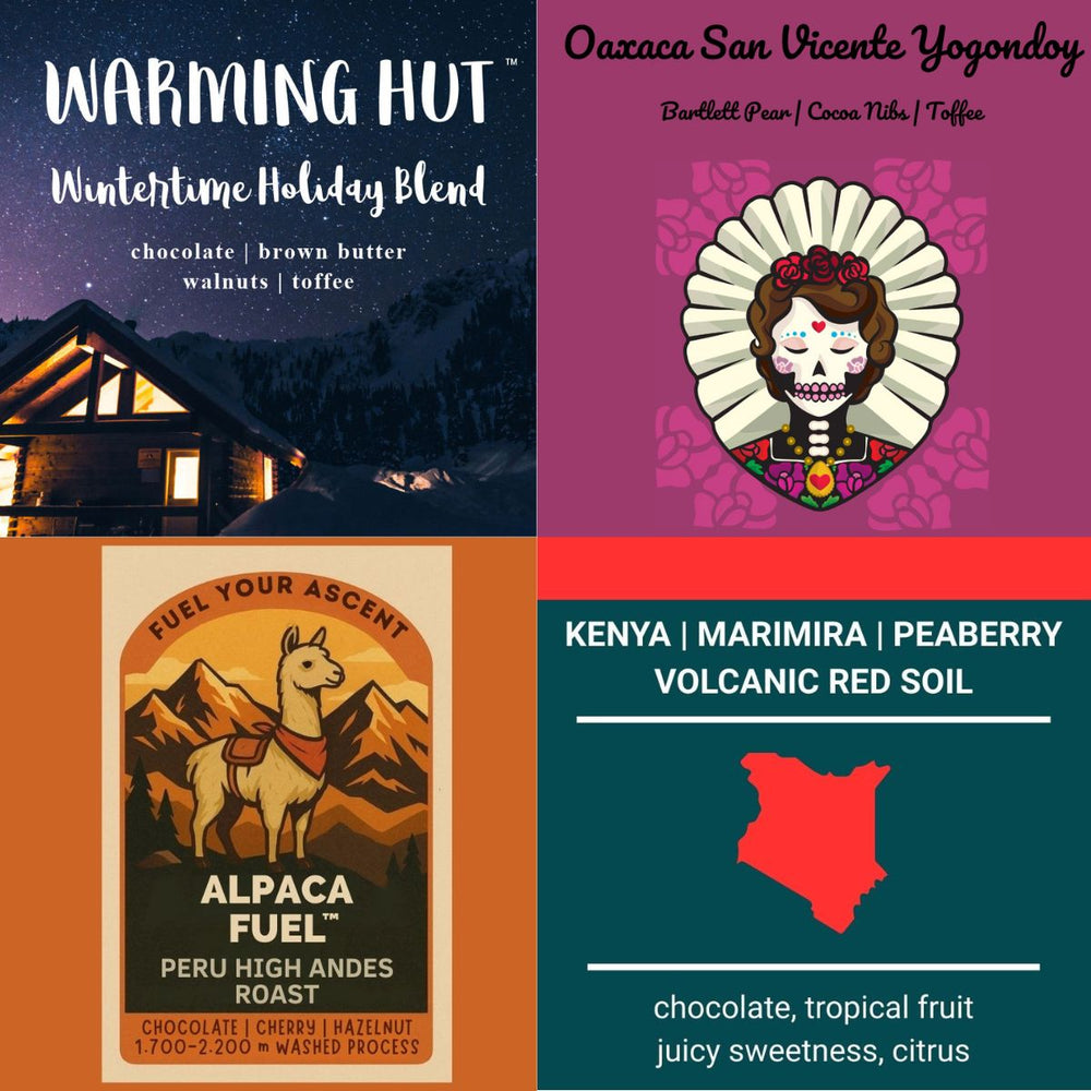 Holiday Expedition Bundle — 4 Bags, Great Savings