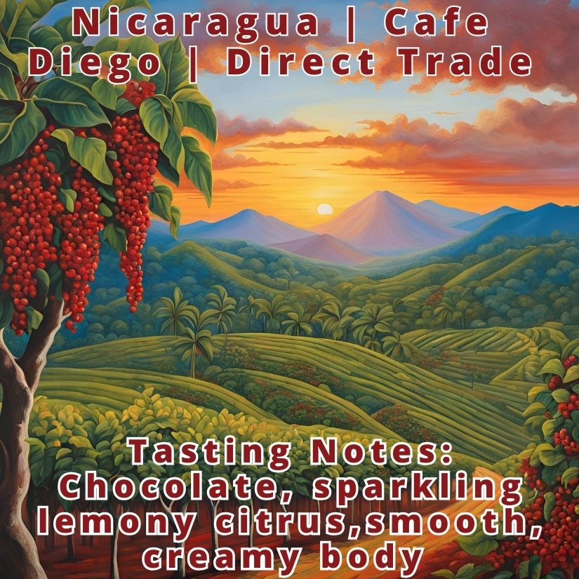 Nicaragua | Cafe Diego | Direct Trade