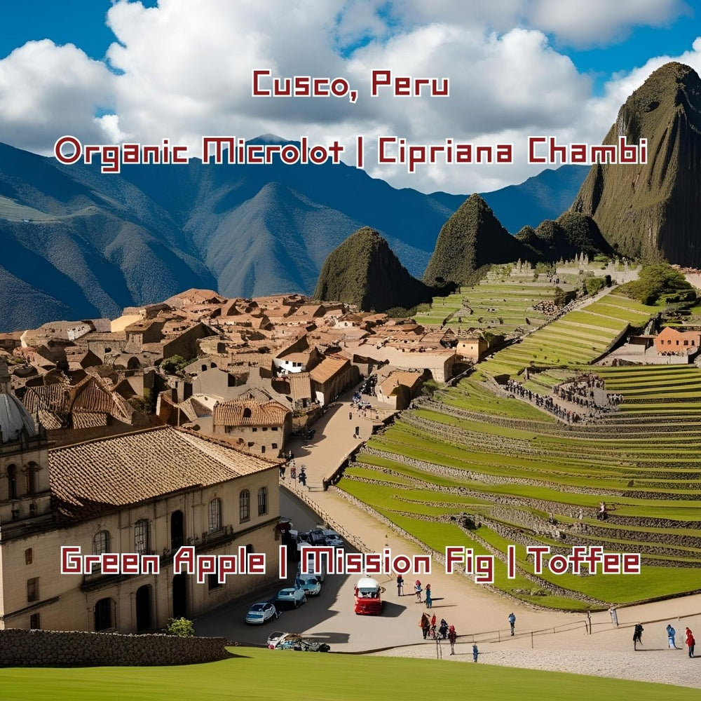 Cusco, Peru | Organic Microlot | Cipriana Chambi