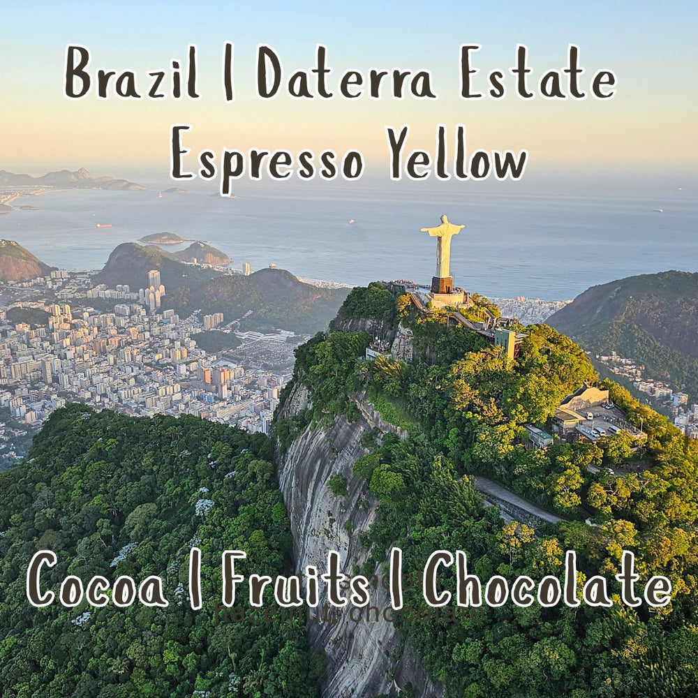 Brazil | Yellow Espresso | Daterra Estate