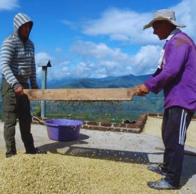 
                  
                    Colombia | Microlot | Finca San Francisco
                  
                
