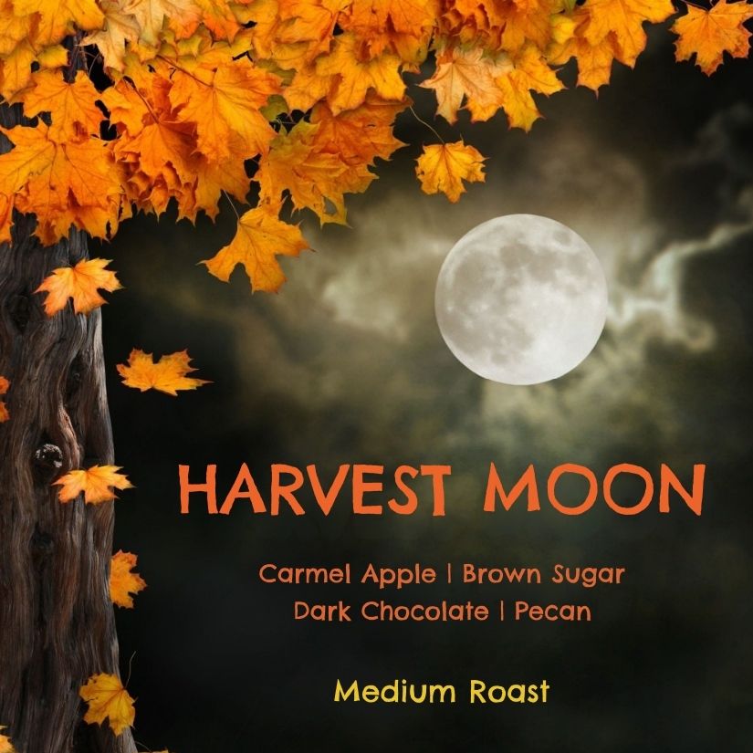 Harvest Moon Seasonal