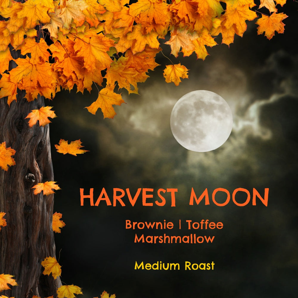 Harvest Moon Seasonal