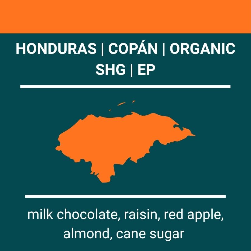 Honduras | Copán | Organic SHG EP