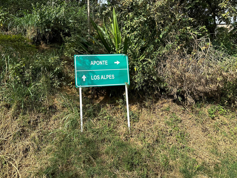 
                  
                    Colombia | Nariño | Single Origin | Los Alpes
                  
                