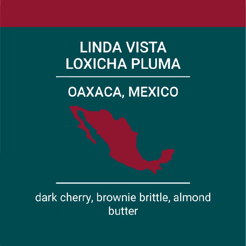 Linda Vista Loxicha Pluma | Oaxaca | Mexico