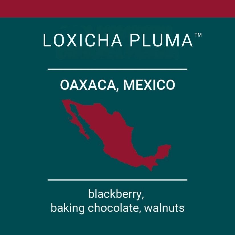 Oaxaca, MX | Loxicha Pluma™