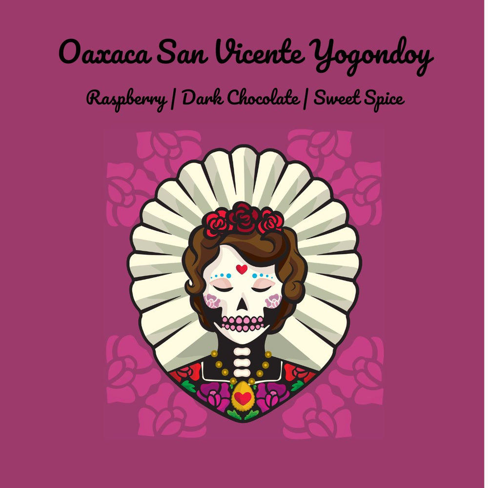 Oaxaca | Mexico | Single Origin | San Vicente Yogondoy