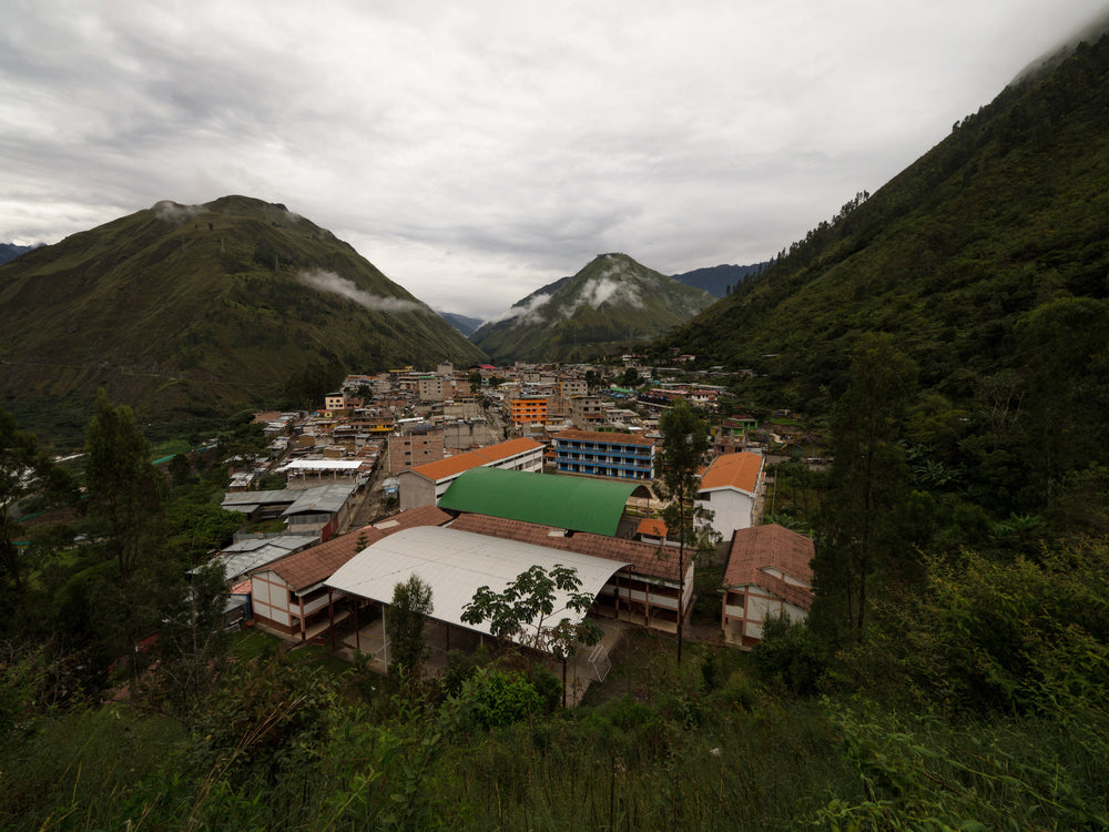 
                  
                    Cusco, Peru | Organic Microlot | Efraín Nina Chamorro
                  
                
