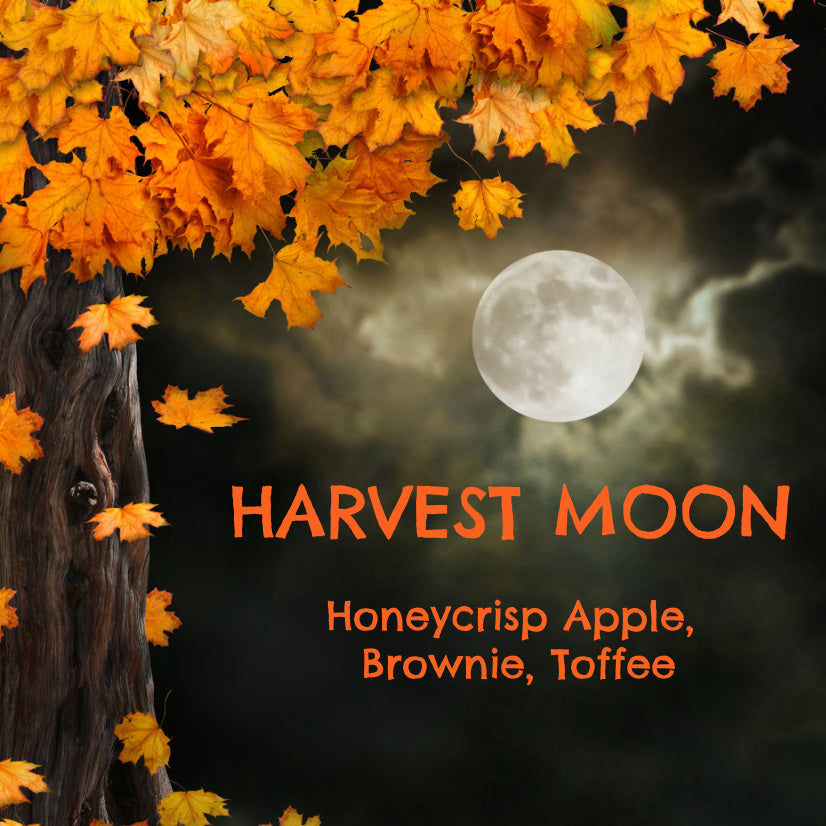 Harvest Moon Seasonal