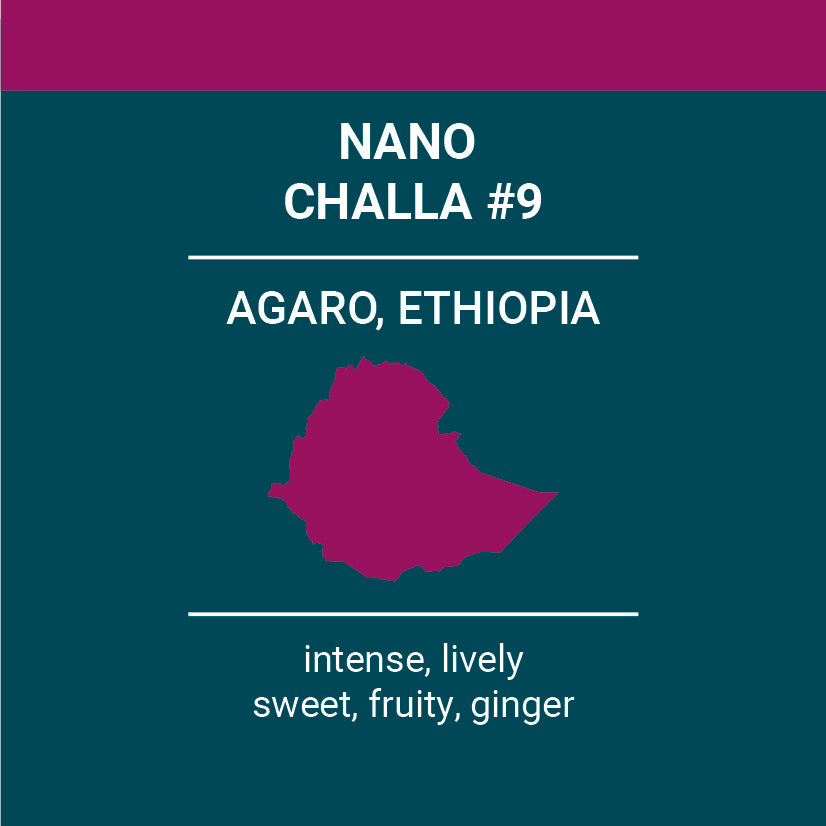 
                  
                    Ethiopia Nano Challa #9
                  
                