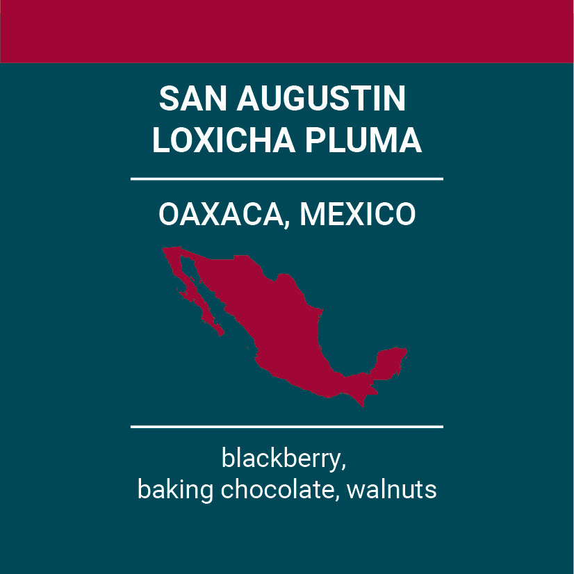 
                  
                    Oaxaca, Mexico, San Augustin Loxicha Pluma
                  
                